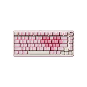 Yunzii B75-pro B75 Pro Wireless Mechanical Keyboard 75% Layout With Knob Hot Swap Gas