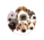 Lqfiwss Round Mouse Pad Dog Design, 7.9L X 7.9W Inches, New. Price: $16.64.