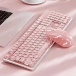 Eweadn Seunkwang V3 Wireless Keyboard And Mouse Set Pink New Open Box. Price: $25.00.