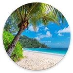 Mouse Pad, Beach Tree Mat Round Non-slip Rubber Ba... New. Price: $15.76.