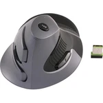 Wireless Vertical Mouse Dpi Switch 800 1200 1600 (CST3645A) New. Price: $39.03.